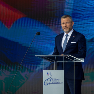 JNE_5087 2