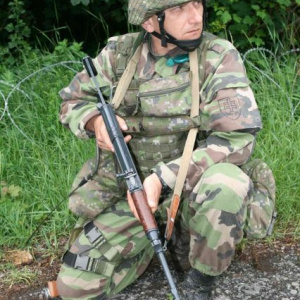 Prebúdzajúci sa lev na Lešti
